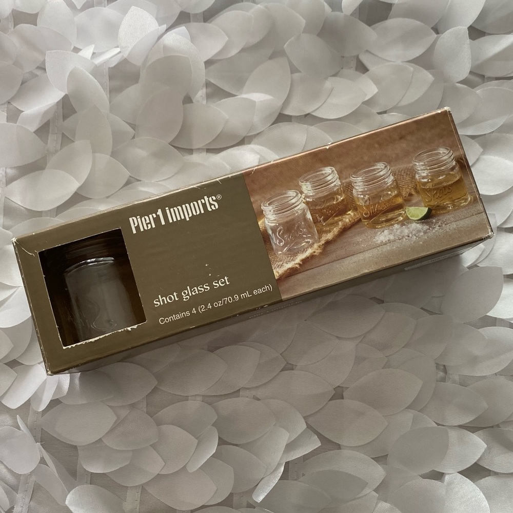 NWT Pier 1 Mason Jar Shot Glasses (Set of 4)